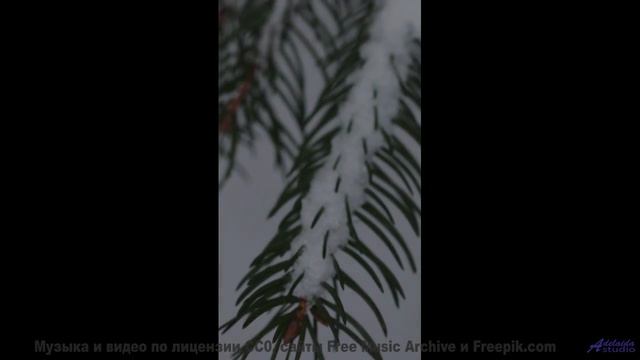 Грозовые тучи и жёсткий дроп! - Movimiento -- Danke Sun -- Movimiento