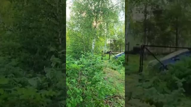 Участок 8 соток Раменский район (Подмосковье)