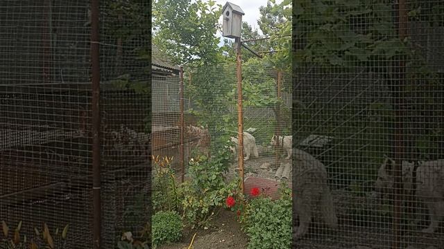 1000681317.mp4