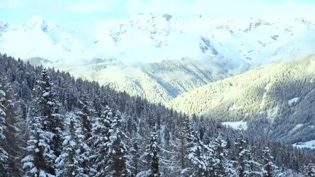 Тихая музыка природы среди лесов и ветра — Часть 24