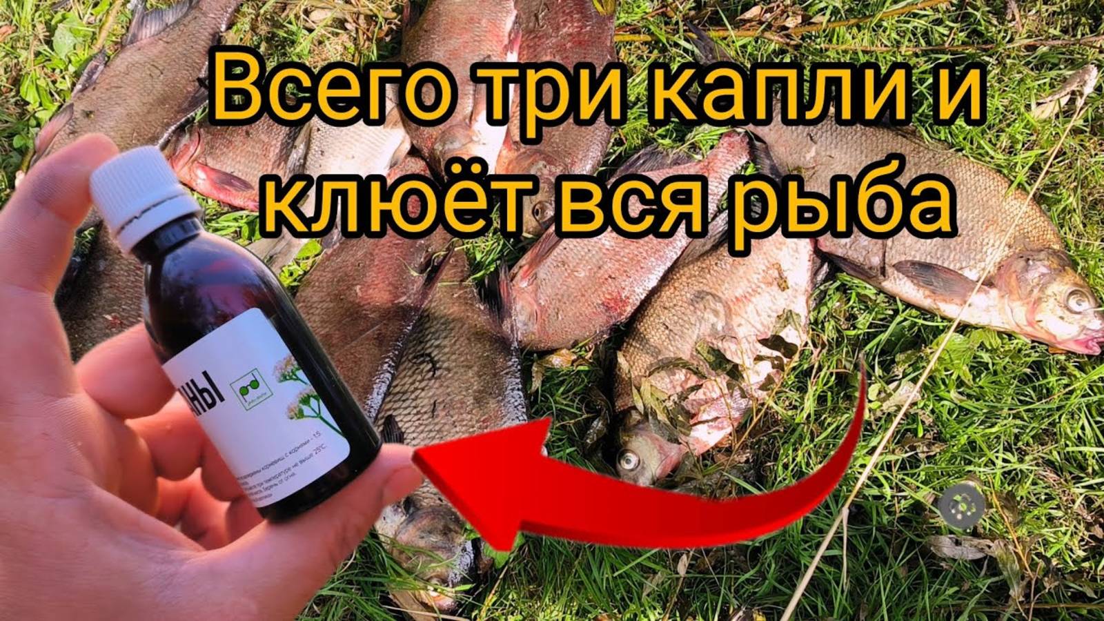 Всего три капли и бешеный клёв Вам обеспечен.