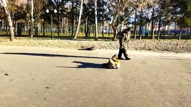 VID-20211114-WA0001