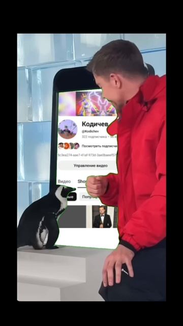 мистер бист