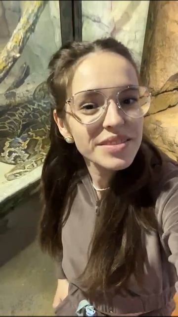VID-20250510-WA0055