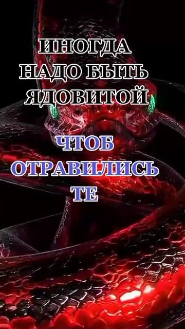 1000121895.mp4