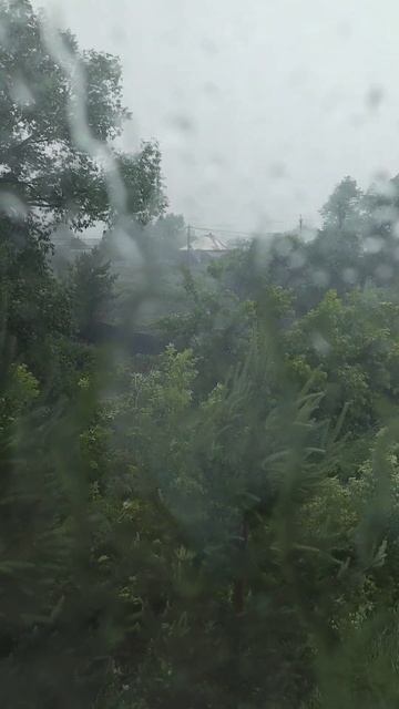 Летняя непогода