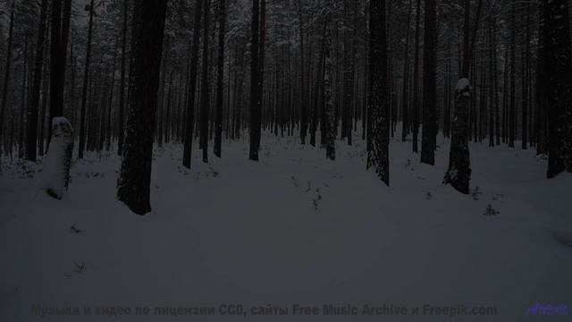 Этот пейзаж НЕ ДЛЯ СЛАБОНЕРВНЫХ! - Платье блинное -- Александр Недугин -- Министерва Любви