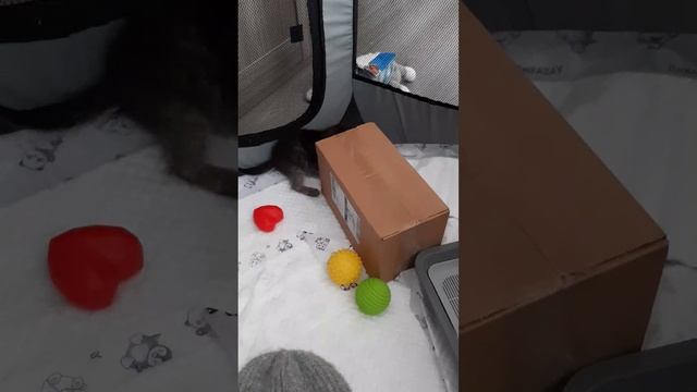 Новая мебель