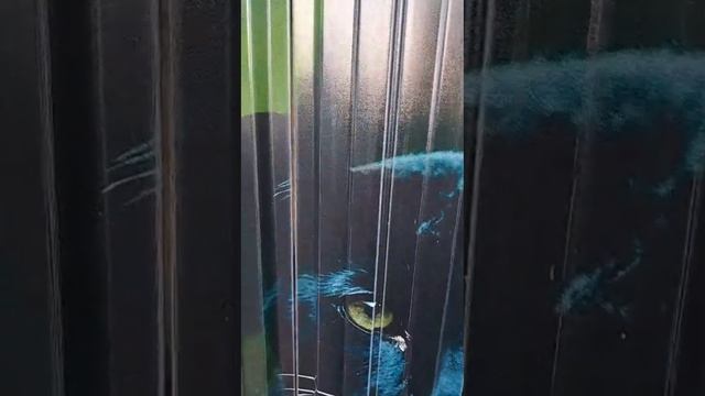 1000028559.mp4