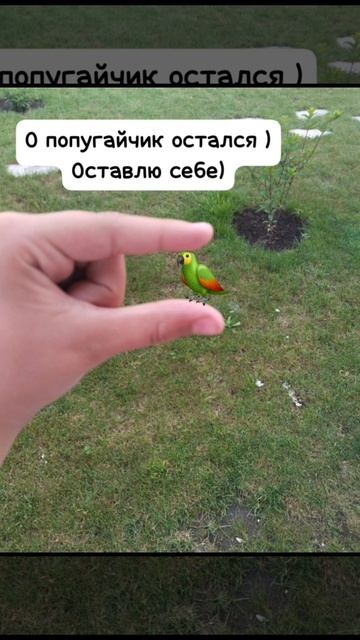 не моё но очень мило