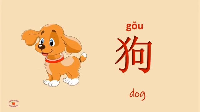 Животные 宠物