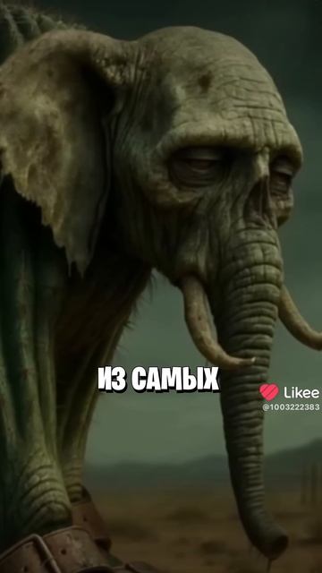 самые сильные итальянские мемы часть 1