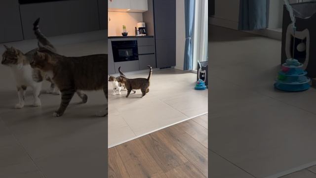 1000143297.mp4