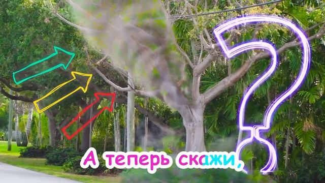 Веселая песенка про животных за окном! Что ты видишь?
