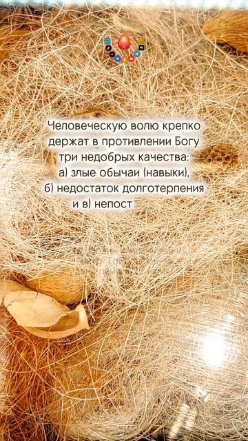 Что ограничивает нашу волю...