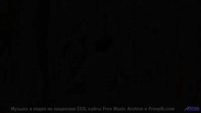 Музыка для тех, кто целуется на заднем сиденье под стук колёс - Mausoleo de Espectros Difusos -- Hum