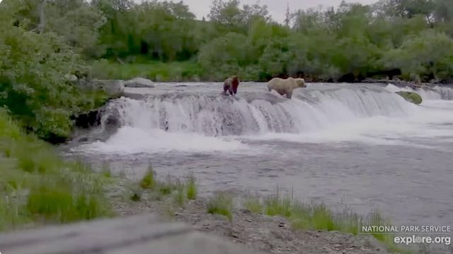 Полдник был очень обильный - пришли на ужин рыбу поймать