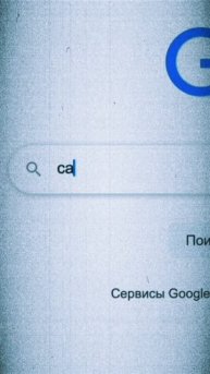 Вы каждый день их едите и даже не знаете об этом