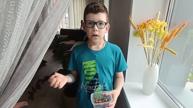 1000012466.mp4