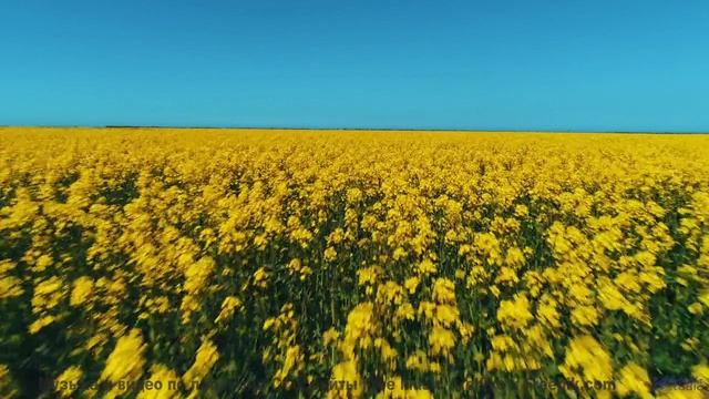 Горы, гром и ритм, который заставляет сердце колотиться! - B Roll -- Chad Crouch -- Motion