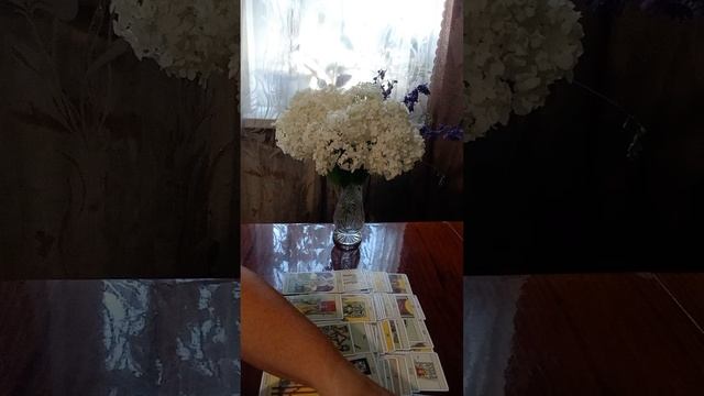 Таро.Новости для вас.