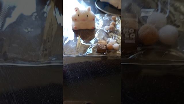 хомяк 🐹
Антистресс