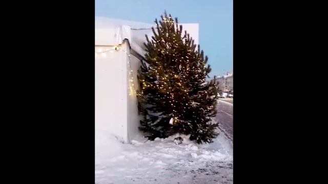 СТИХИЯ 2025