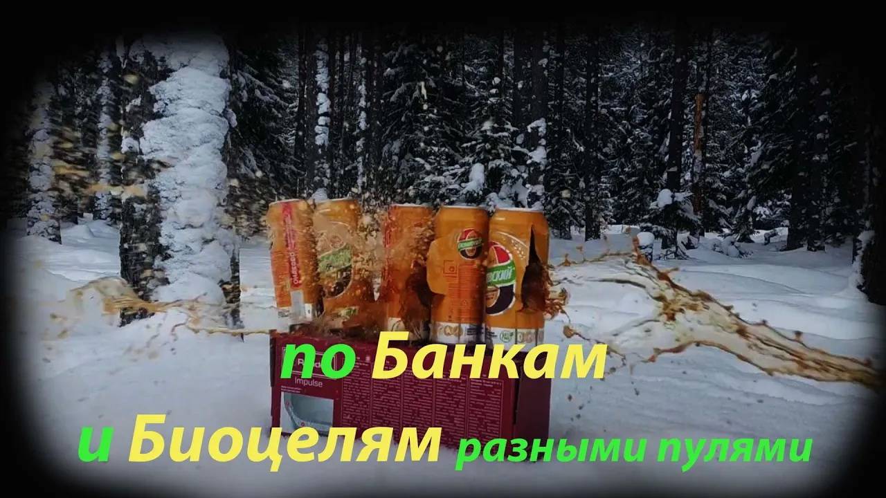 Зимняя охота из пневматики на Банки и Яйцам