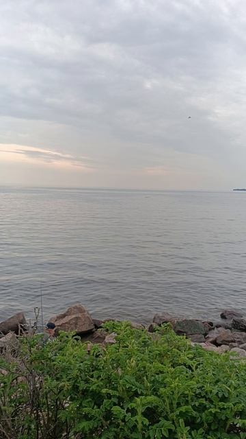 Финский залив