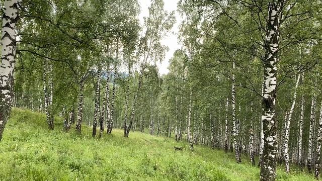 Relax. Вершины до небес