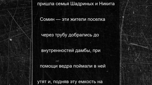 Костромские спасения: в деревне Гридино жители спасли утят, упавших в дамбу