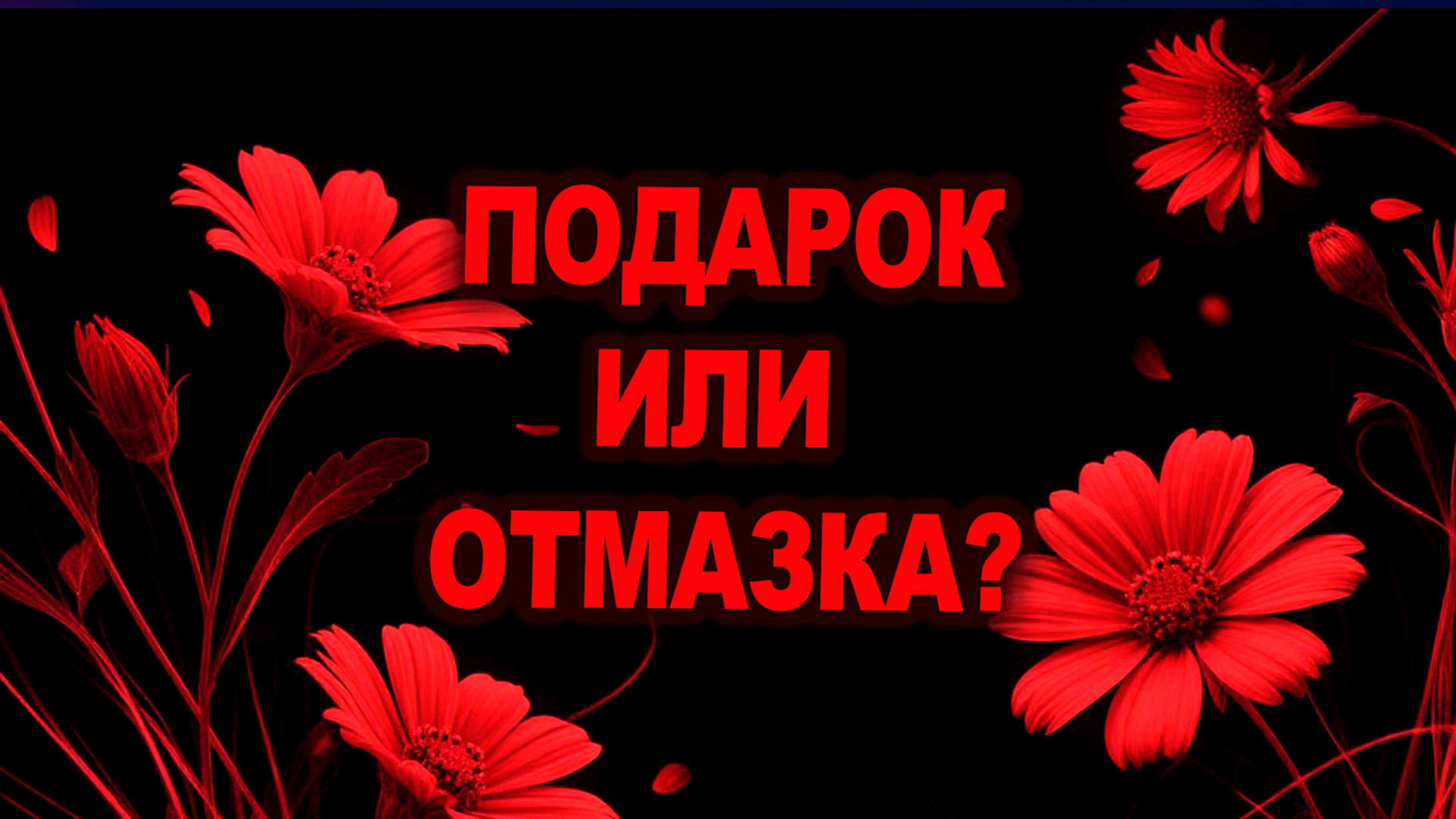 Подарки vs. Обязанности: как отличить жест любви от оплаты счетов