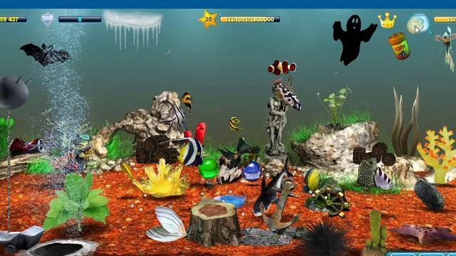 Моим Аквариумам 327 дней