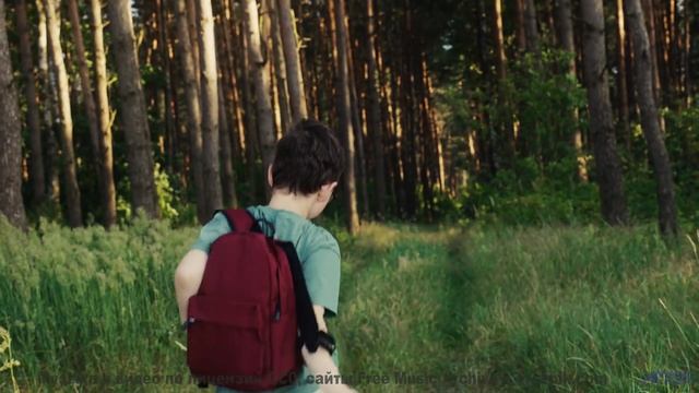 Мелодия, танцующая с ветром! - Memories (Brainquake  Linn Friberg) -- PARADIGM -- The Way Forward