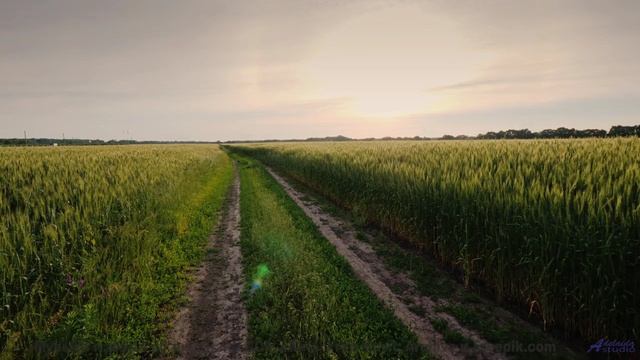 Эта композиция создана колебаниями мультивселенной - услышьте бесконечность! - The-Good-One -- Ketsa