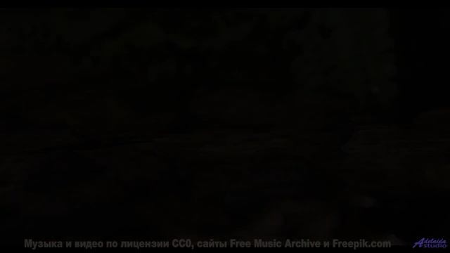 Музыка, которая синхронизирует ваши мозговые волны! - Fame -- King Elizabeth -- Miami