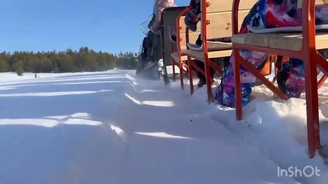 Катания на санях