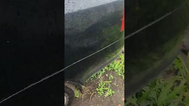 1000211413.mp4
