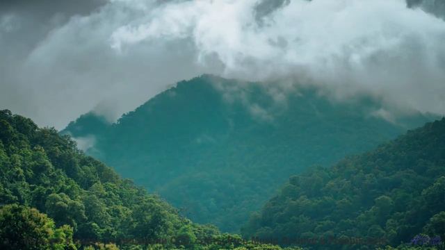 Этот клип - как отпуск для разума и слуха - asianna -- Jean Toba -- a land where the poets dream
