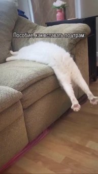 Отличное и прекрасное настроение