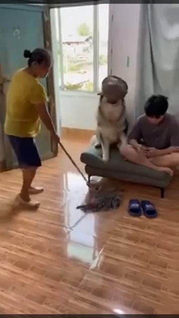 VID_20250622_104706_430.mp4