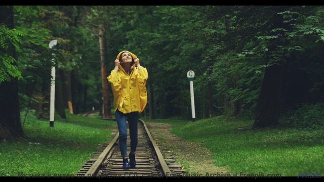 Леса вибрируют вместе с этим невероятным ритмом - Bashful -- Ketsa -- Abundance