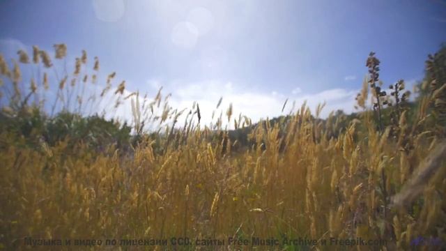 Кадры, которые заставят вашу свекровь замолчать! - Hide -- Crowander -- Uplifting Funband (poprock)
