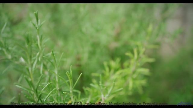Ваши уши скажут вам спасибо! - 13 Feeling-Fine -- Ketsa -- Nothing Left Behind
