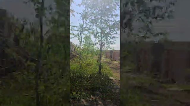 Строика