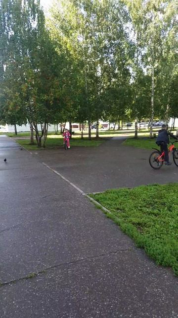 морковь про