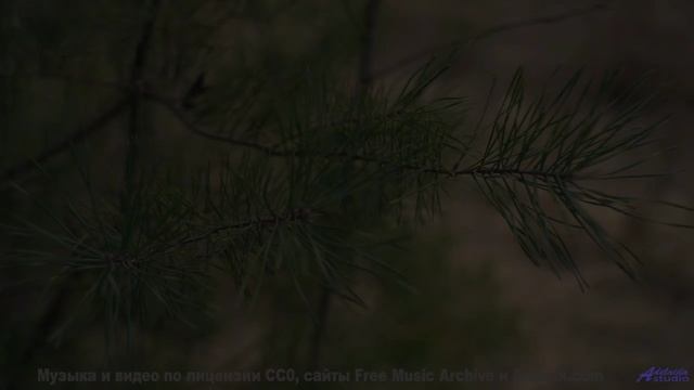 Не смотри, если не хочешь зависнуть на час - Hide-and-Seek -- Ketsa -- Vitality
