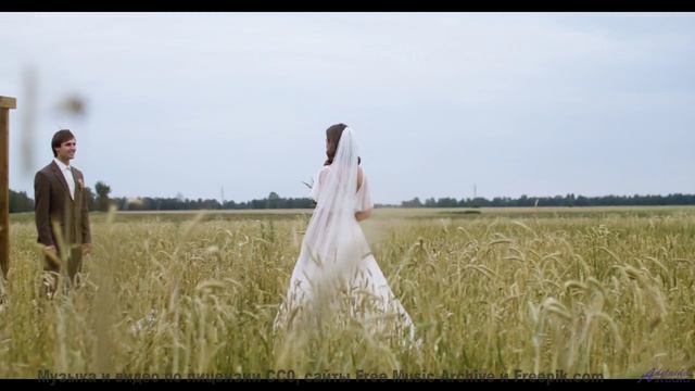 Земля будто разговаривает с вами через этот клип - Love Love What Can You Say Love -- Origami Repeti