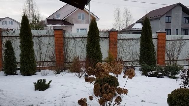Мой зимний сад и огород часть (7)