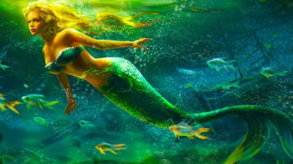 Enigma- (New exclusive version 2025) 🐟🧜♀️🐠🪸🪼